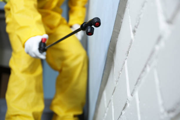 Professional Pest Control in Rogersville, AL